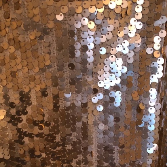 Kirra Sequined Tank w/ Sheer Back - Picture 3 of 6